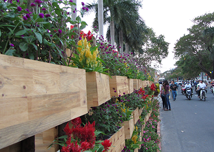 Đường hoa 17 tỷ đồng khoe sắc b&ecirc;n s&ocirc;ng H&agrave;n 1